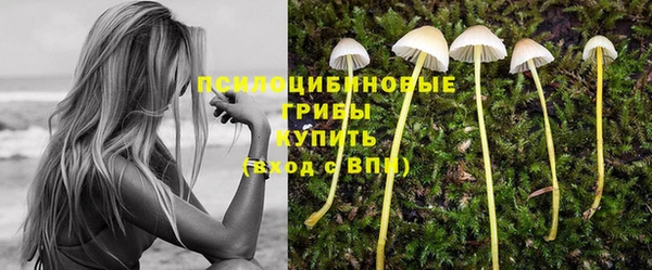 твердый Богданович